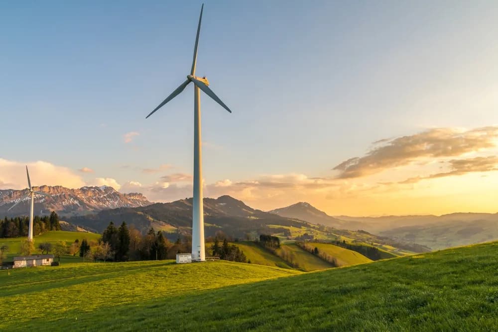 How marketing agencies are accelerating businesses' sustainability mission