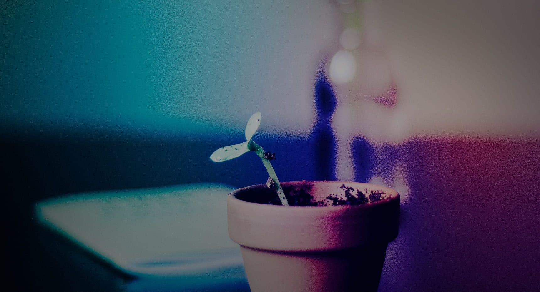 7 Growth Hacks to Acquire More Users for Your Tech Product