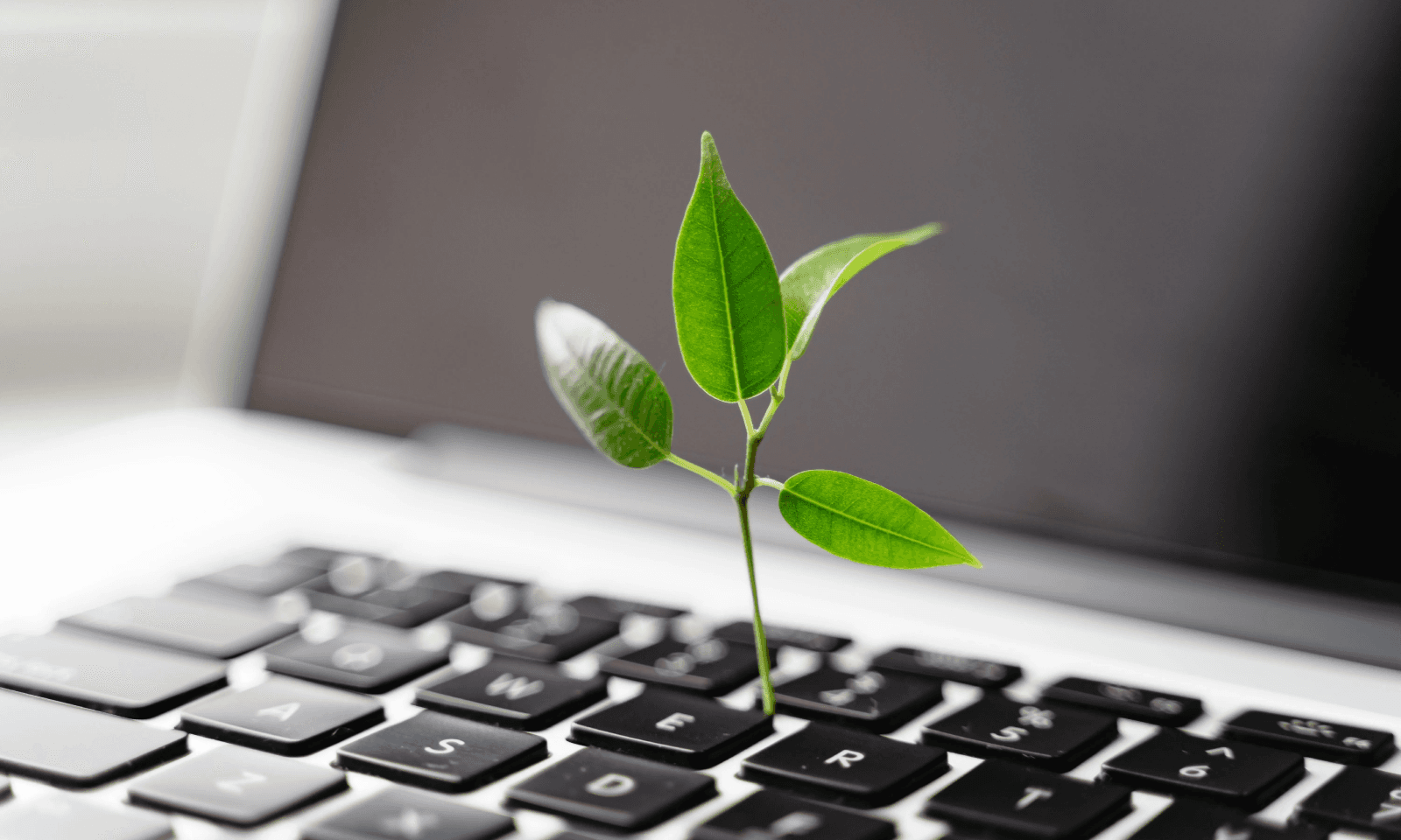 Ignite Your Business Growth with Sustainability Marketing
