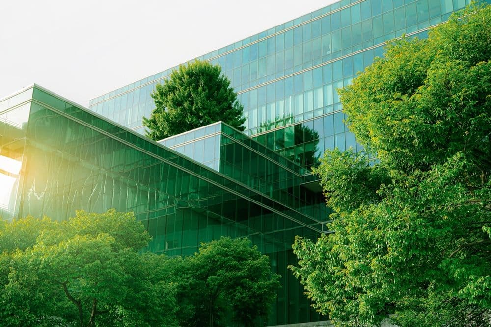 How to Market Your Green Business Without Falling into Greenwashing Traps
