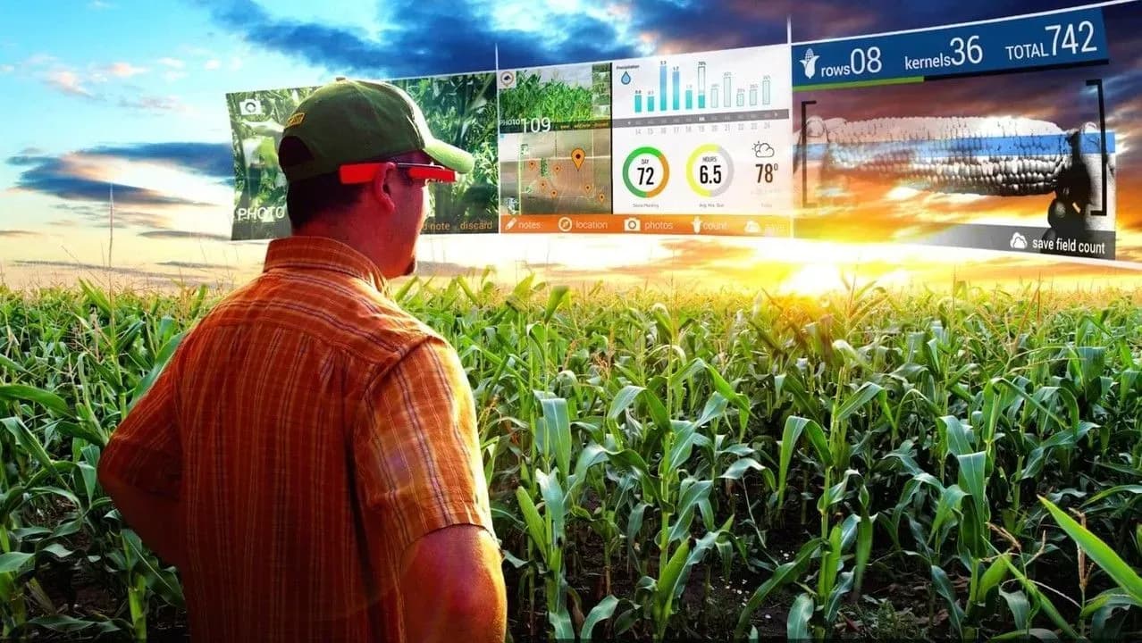 How digital technology is transforming the Agritech sector in 2025